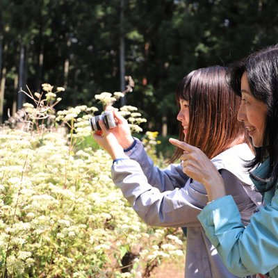 赤城自然園