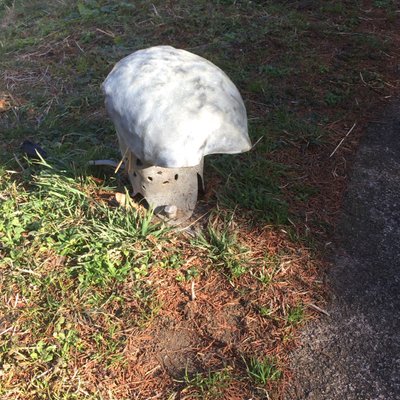 あけぼの子どもの森公園