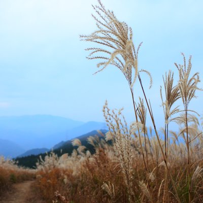 岩湧山