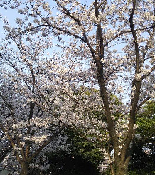 祖原公園