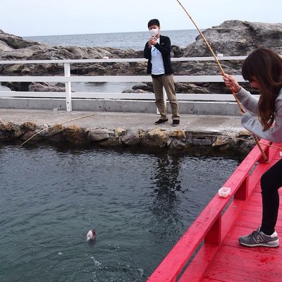 太海フラワー磯釣センター