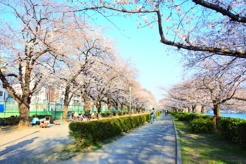 大阪天満宮周辺でお花見デート 桜並木が有名な南天満公園で食べる絶品ベーグル Playlife プレイライフ