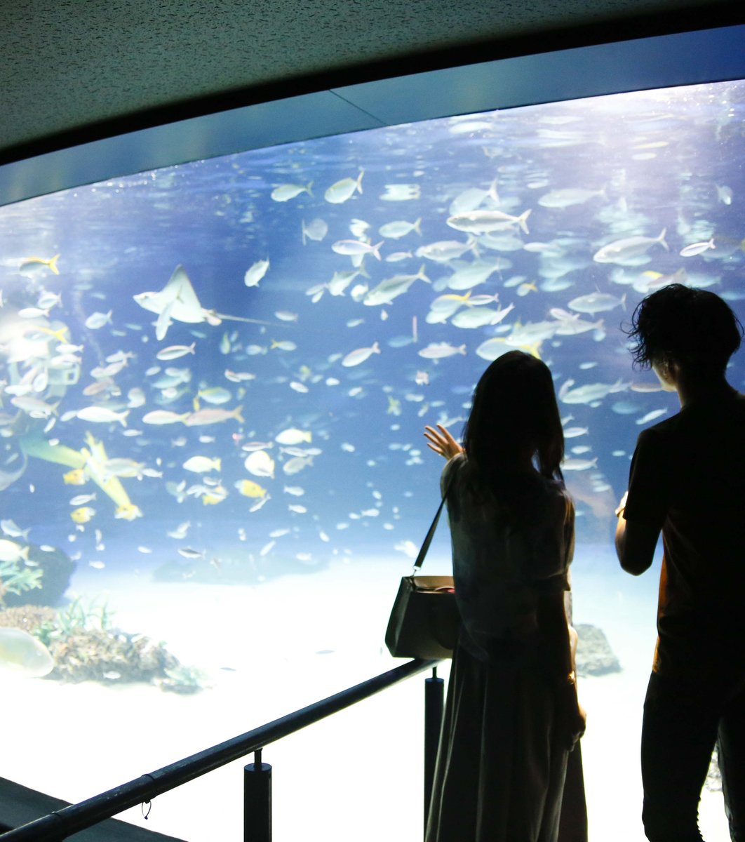 サンシャイン水族館