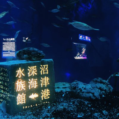 沼津港深海水族館