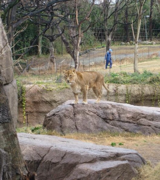 天王寺動物園