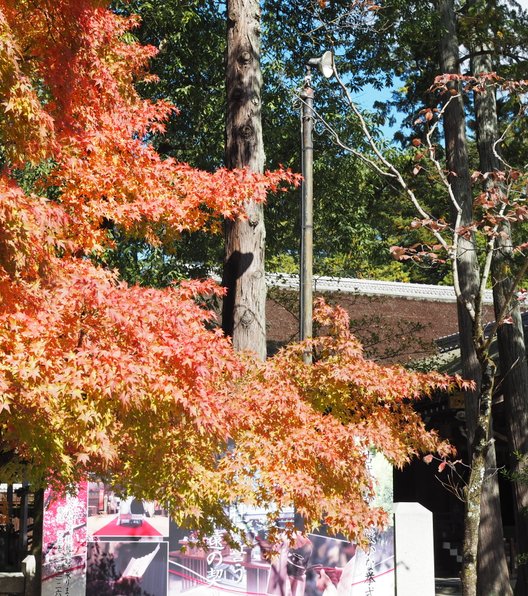 武田神社