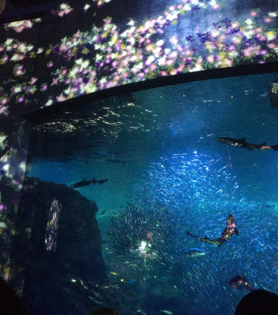 新江ノ島水族館