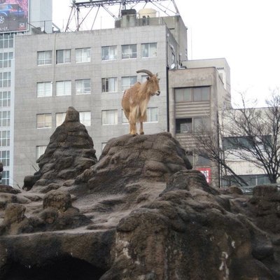 天王寺動物園