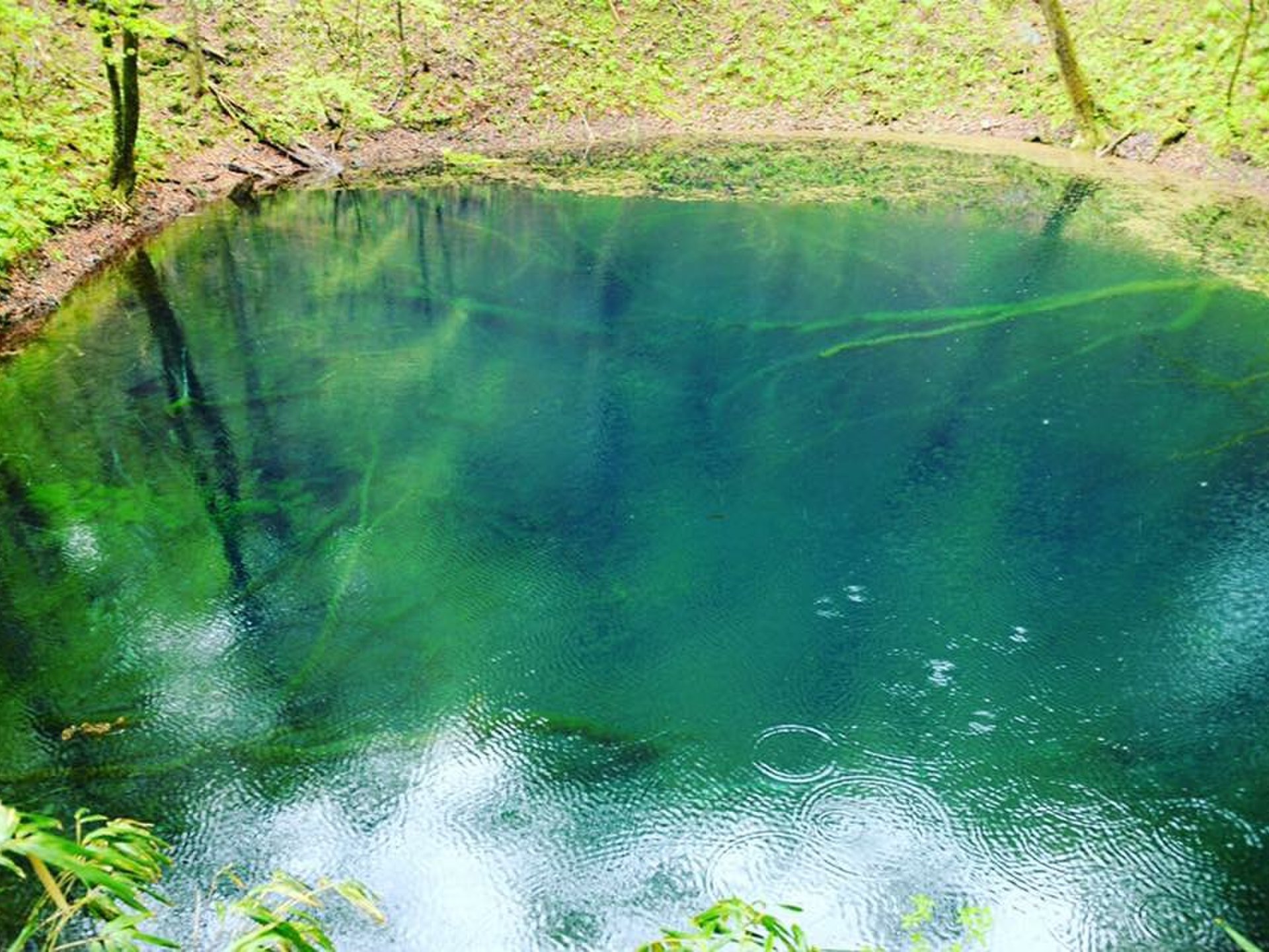 北海道、東北の絶品グルメと大自然を満喫のドライブ旅行【Day2 青森の桜と神秘の池】