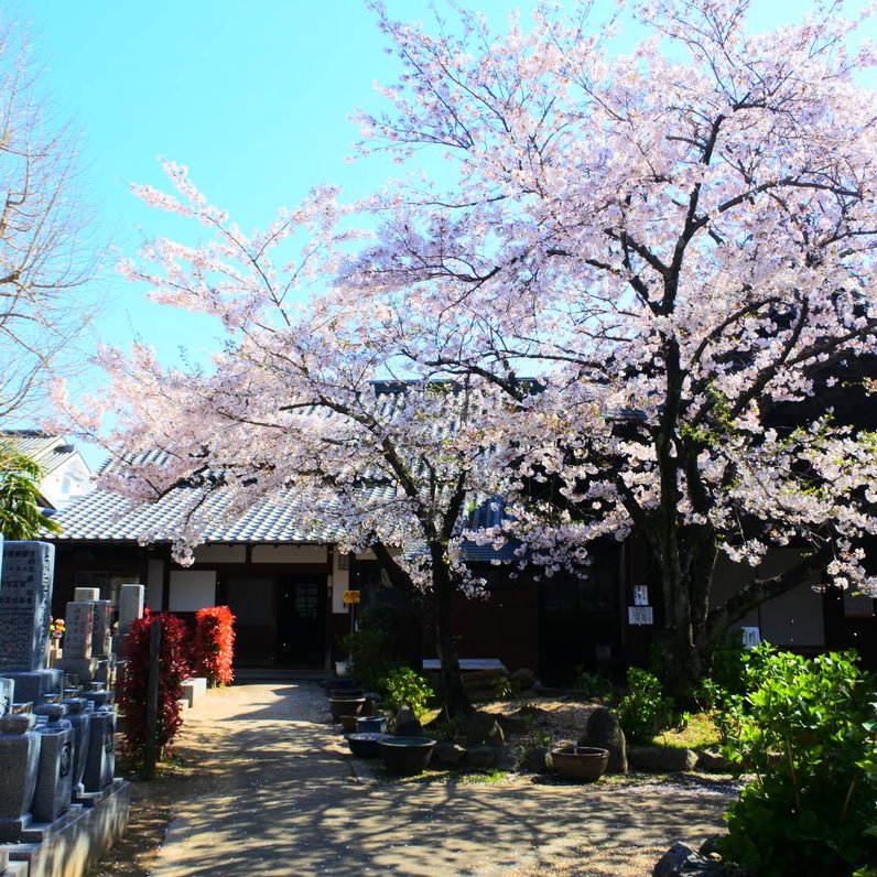 称念寺