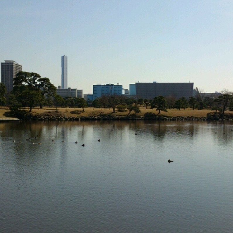 浜離宮恩賜庭園