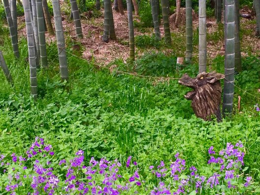 ラディアン花の丘公園