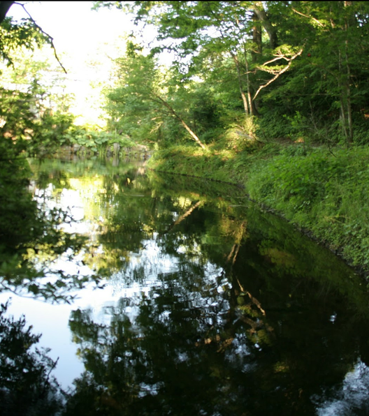 忍野八海