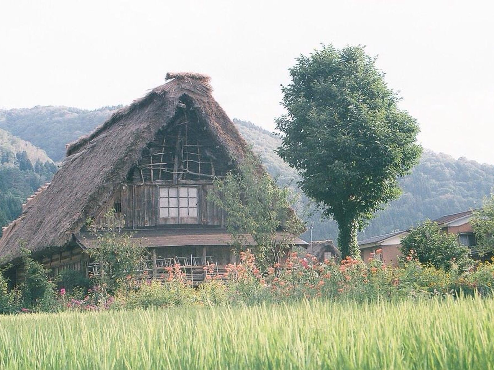 白川郷