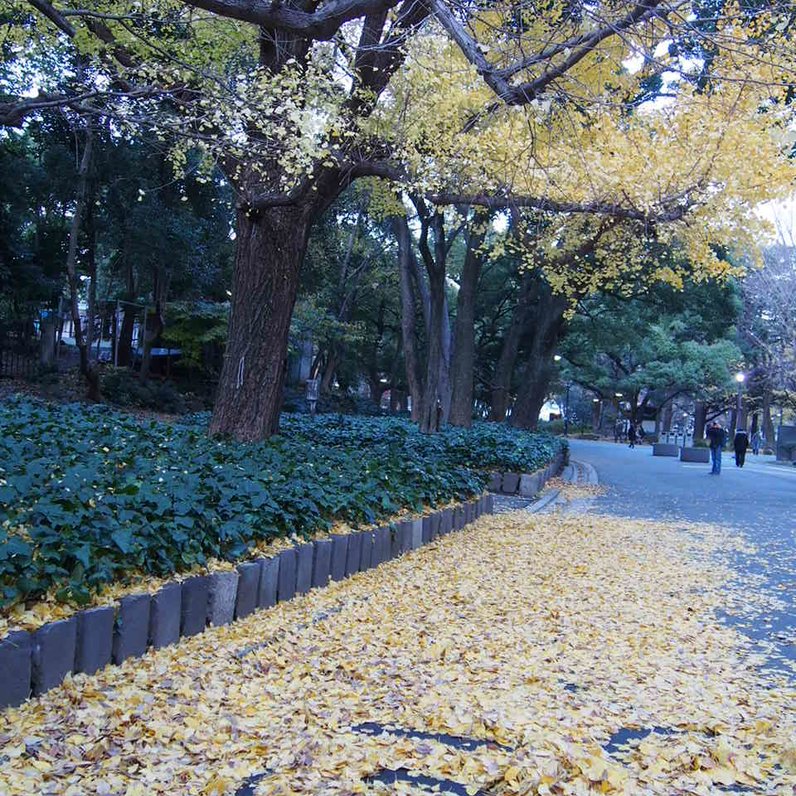 日比谷図書文化館