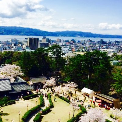 松江城 (千鳥城)