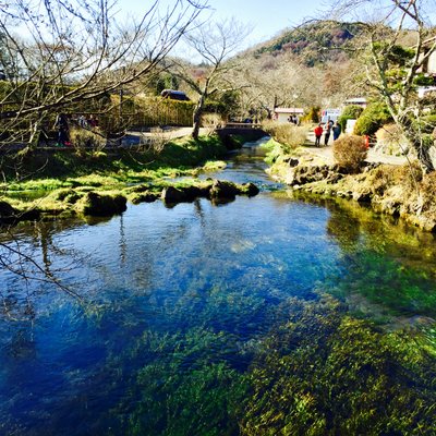 忍野八海