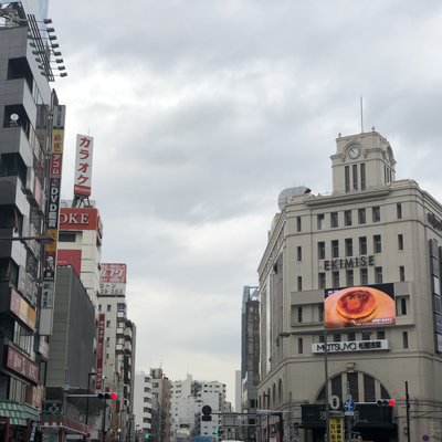 浅草むぎとろ 本店 