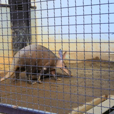 姫路市立動物園