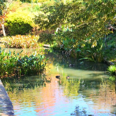 安城産業文化公園デンパーク