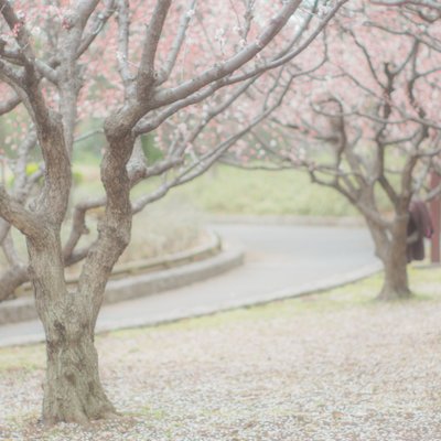 亀戸中央公園