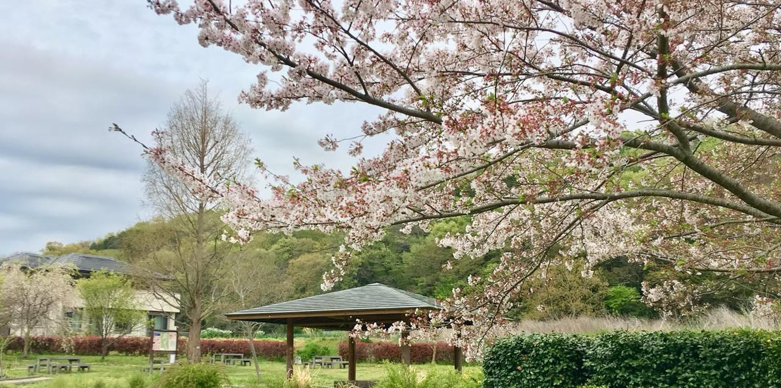 ラディアン花の丘公園