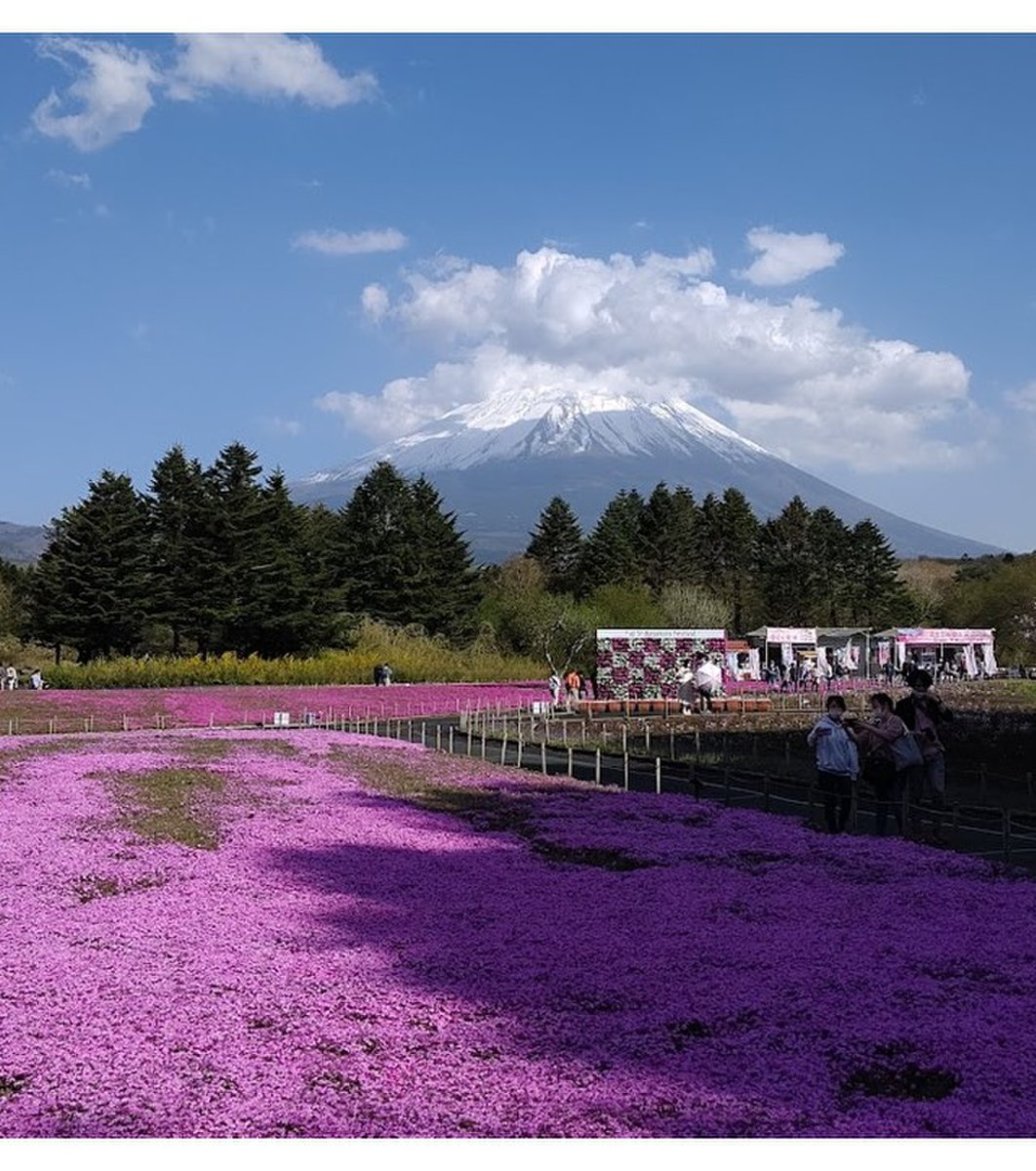 富士本栖湖リゾート