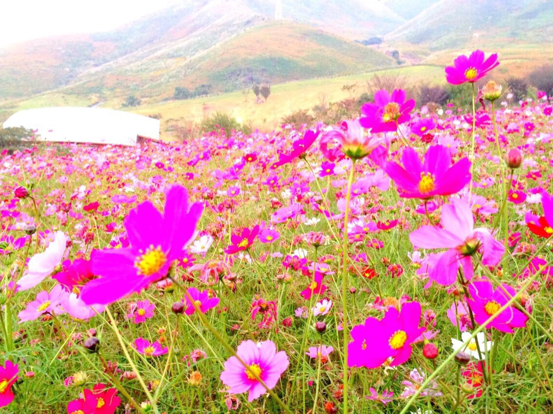 俵山交流館 萌の里