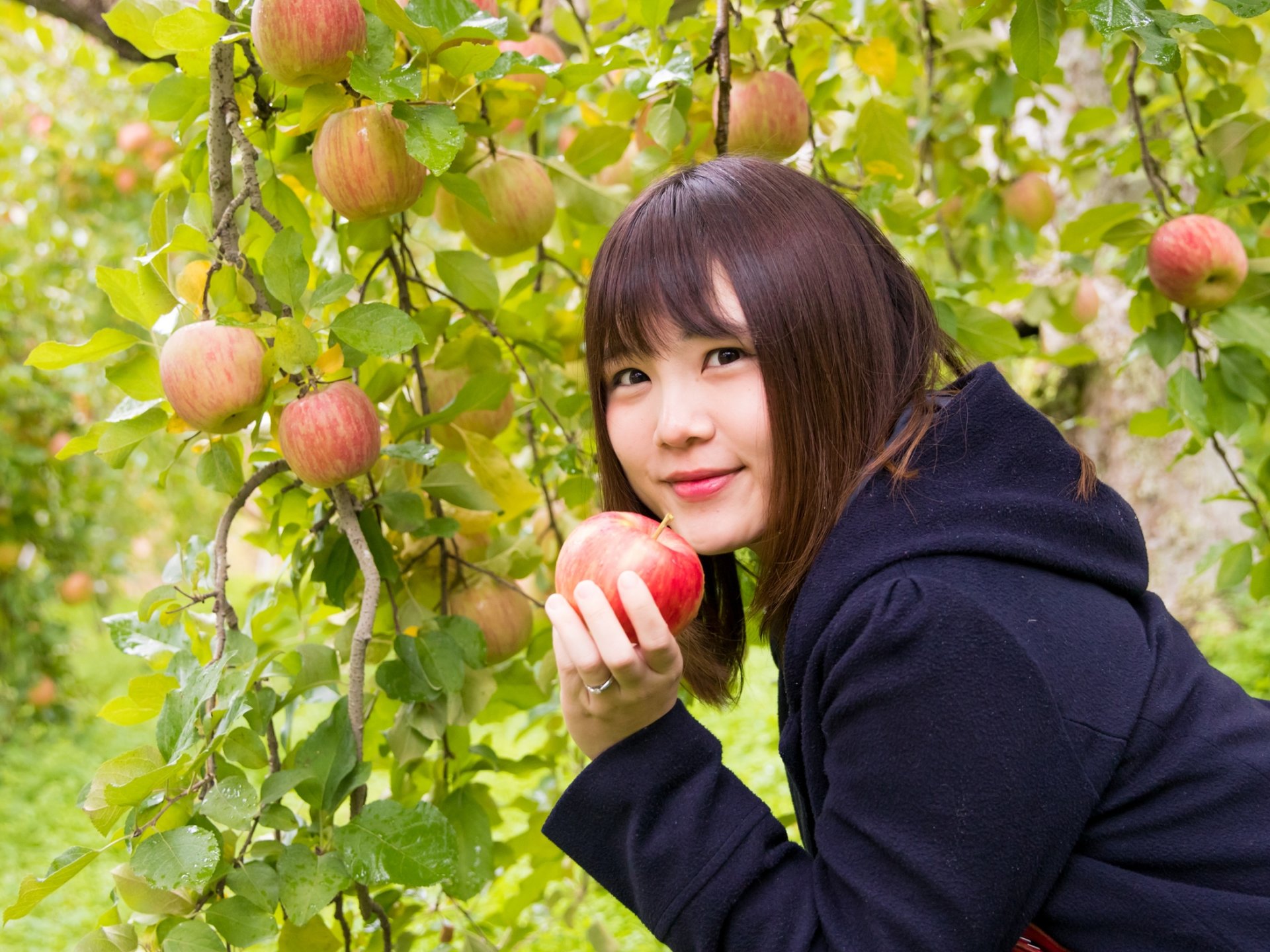 長野県阿智村を周遊バスで天龍峡観光！りんご狩りと絶品スイーツ体験をしました♡