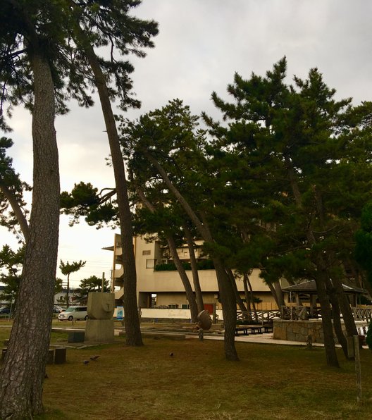 皆生温泉 汐の湯