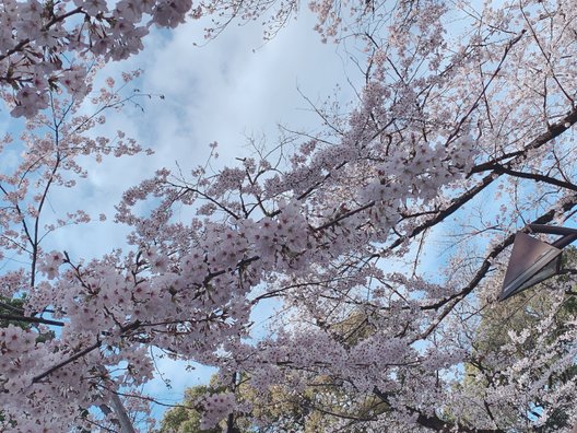 上野公園