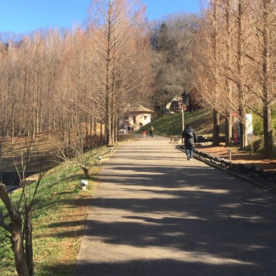 あけぼの子どもの森公園