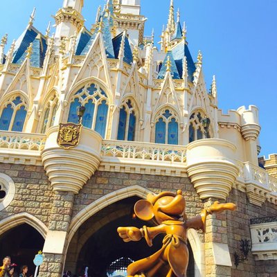 東京ディズニーランド(c)