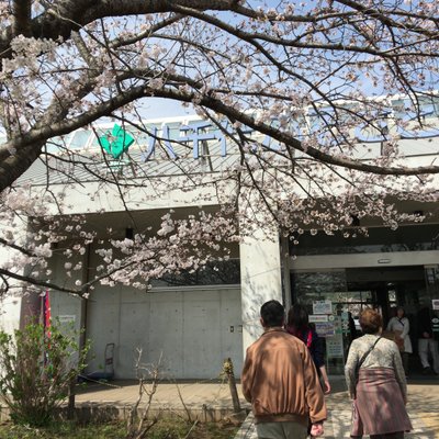 道の駅 やちよ