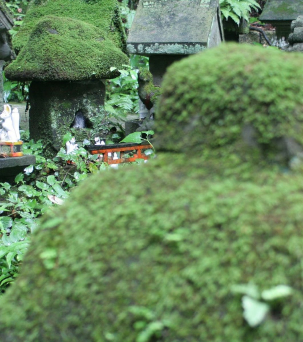 佐助稲荷神社