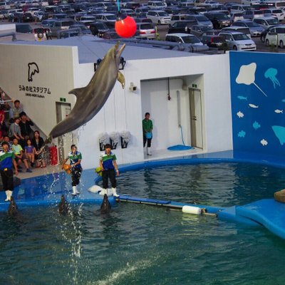 仙台うみの杜水族館