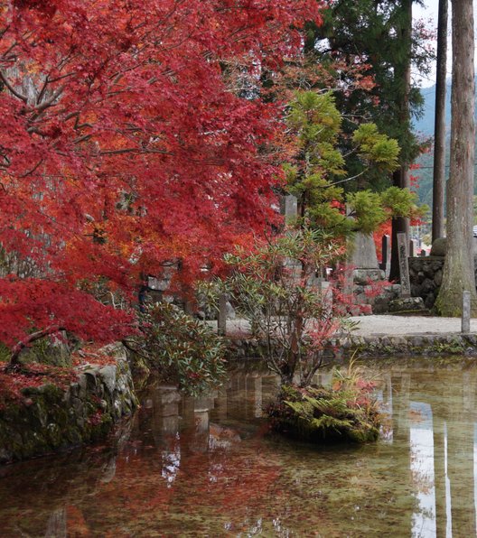 龍泉寺