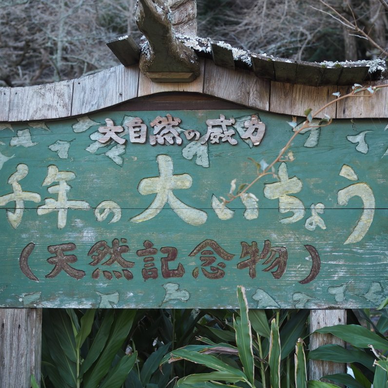 伊那下神社