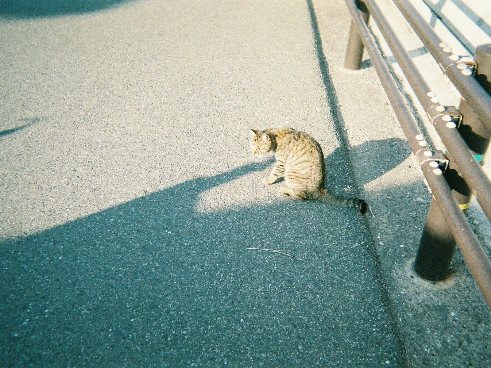 相島