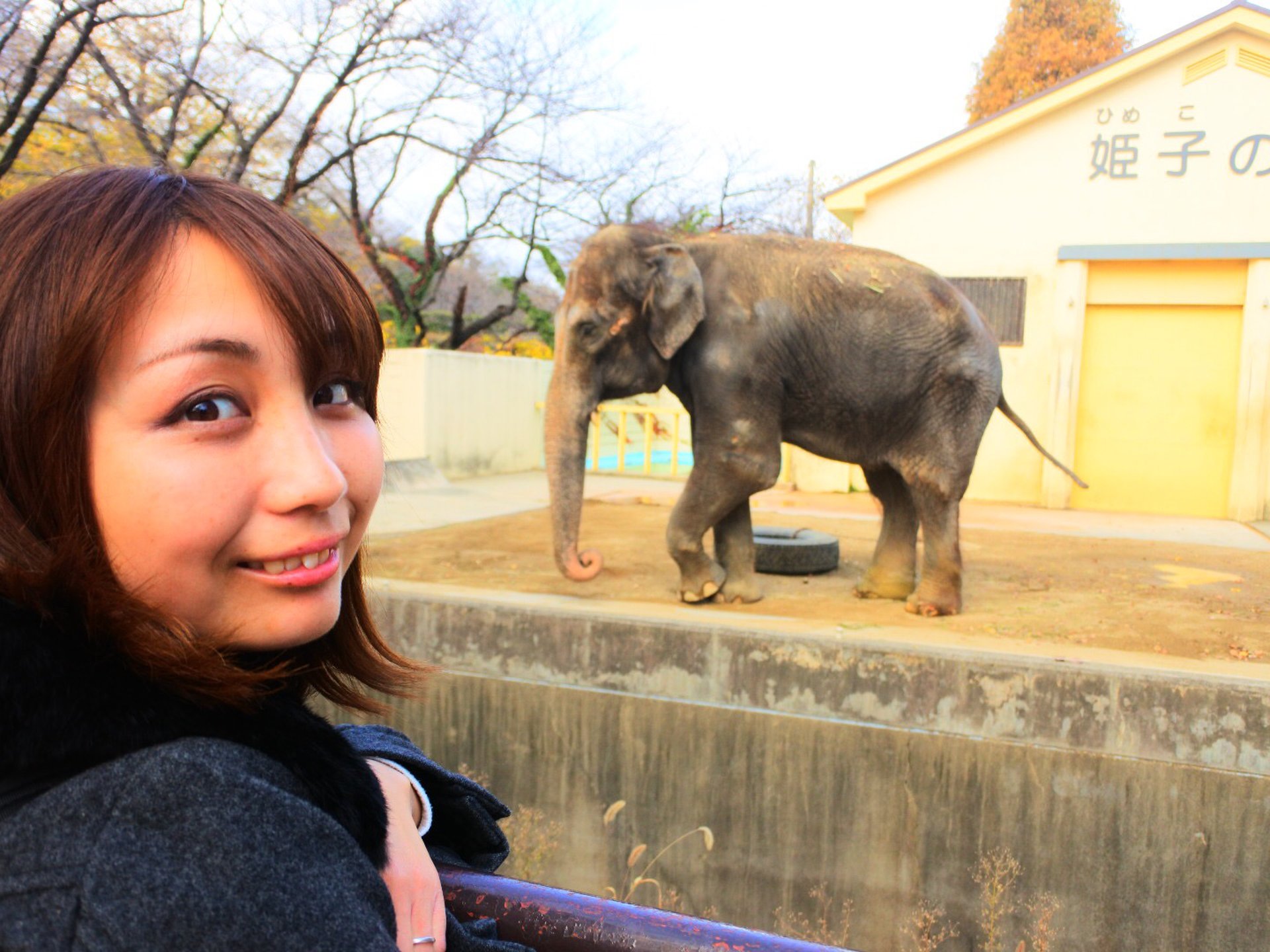 城内にある動物園！入園料は200円！姫路城にある姫路市立動物園へ行こう！