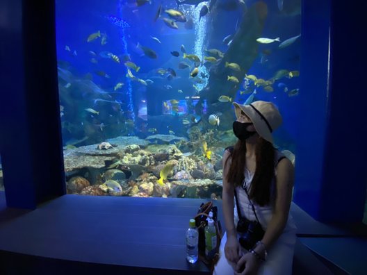 鳥羽水族館