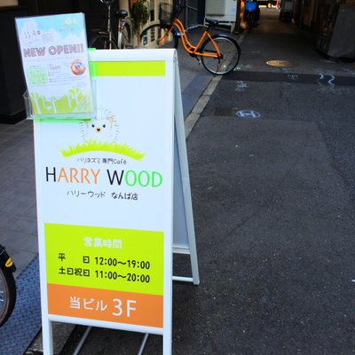 ハリネズミ専門カフェ HARRY WOOD(ハリーウッド)なんば店