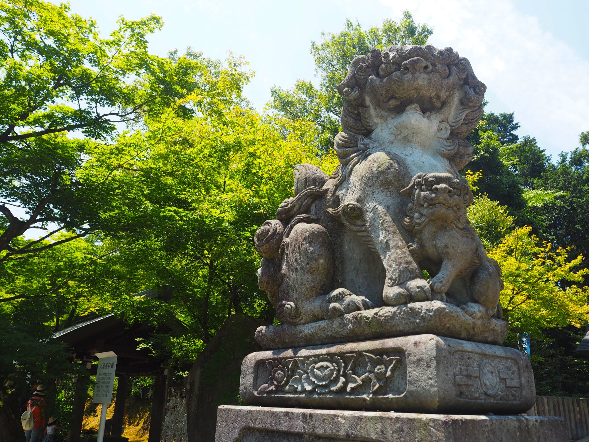 【足羽神社】しだれ桜とコマイヌに注目◎福井市内の超パワースポットへ行ってきました。
