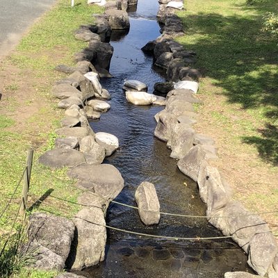 道の駅 あそ望の郷くぎの