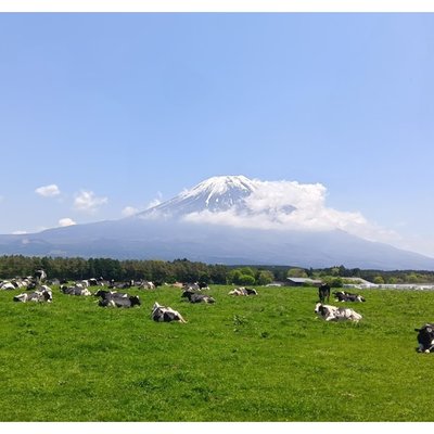 道の駅朝霧高原 富士山展望台