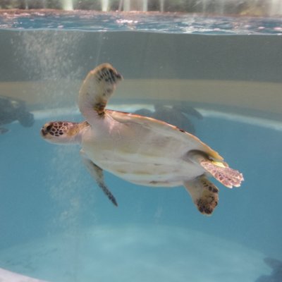 むろと廃校水族館