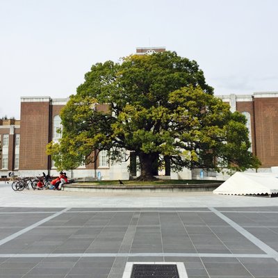 吉田神社