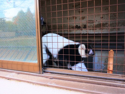 姫路市立動物園