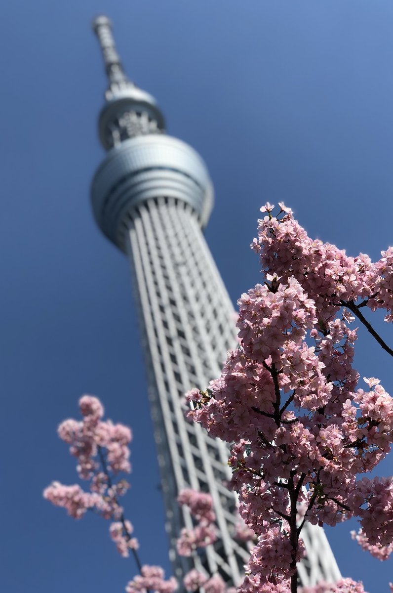 東京スカイツリー 天望回廊