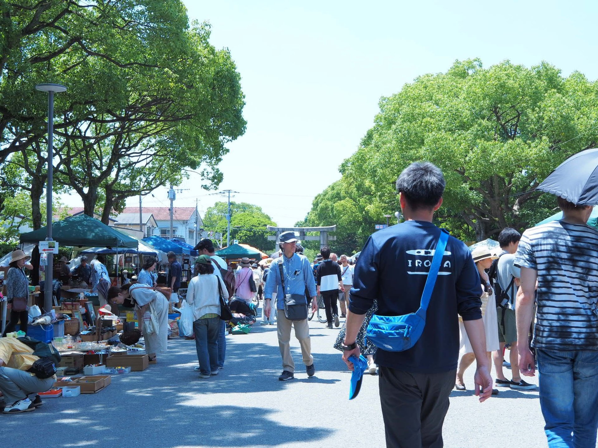 ほぼ毎月１回・福岡東区の「筥崎宮骨董市」で宝探しの旅